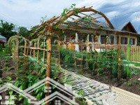 Bán Đất Tại Ninh Gia, Đức Trọng, Lâm Đồng, 2,3 Tỷ, 1000M2