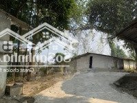 Bán Đất Tặng Kèm Hạ Tầng Sẵn Phù Hợp Làm Kho Xưởng, Sản Xuất Kinh Doanh Tại Ba Vì, Hà Nội