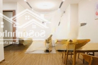 Chính Chủ Cho Thuê Căn Hộ 1 Phòng Ngủchung Cư Vinhomes Skylake.