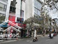 Tòa Building Ngã 6 Ô Chợ Dừa. 12 Tầng Kinh Doanh -Mặt Tiền13M - 320M - Giá 1Xx Tỷ (Cócó Thương Lượngmạnh)