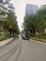 Bán Bt 225M2 Chỉ Với 260 Tỷ Ở Vinhomes Golden River, Bến Nghé, Q1, Hcm Hot!