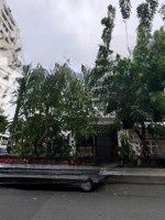 Bán Toà Nhà Góc 2 Mặt Tiền Ngay Trần Hưng Đạo - 10X25M - 6 Tầng - Hđt: 250 Triệu/Tháng - Giá Bán 100 Tỷ