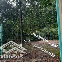 Bán Đất Vườn An Thạnh Khu Phố Thạnh Lộc Thuận An Bd. 35,5X47 Thổ Cư100M Đường Đất 4M Thông