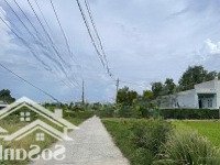 1000Mv Lúa Ngay Tt Thành Phố Gò Công Cách Ql 50 Chỉ 150M Hạ Giá Cần Bán Lỗ