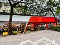 Siêu Phẩm Nhà Phố Hoàng Cầu 300 M2, Mặt Tiền 12 M, Phù Hợp Mọi Mô Hình Kinh Doanh