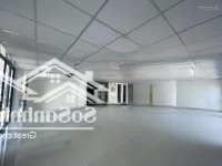 Bán Nhanh Tòa Nhà Nguyễn Văn Trỗi, Phú Nhuận, 15X17M, 5 Tầng - Thang Máy, Hđt: 165 Triệu, Giá Bán 42 Tỷ