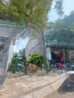 Chỉ 12Ty Đất Đường An Thượng 9, Giá Chỉ 12Ty, Sát Đường Ngô Thì Sỹ Thông Thẳng 1 Đường 500M Ra Biển
