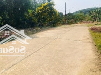 Mua Đất Tặng Full Vườn Trái Cây Trĩu Quả Ở Gần Quốc Lộ 20 - Thống Nhất