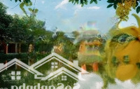 Cho Thuê Dài Hạn 1Ha Đất Long Phước Gần Phim Trường Long Island, Bảo Tàng Áo Dài