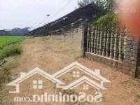 Bán 181,2M2 Đất Tổ 32 Thị Trấn Liên Nghĩa, Đức Trọng, Lâm Đồng 1 Tỷ 250 Triệu