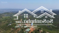 Bán Đất Nền Có Thổ Cư, Chính Chủ Giá Rẻ, Gần Trung Tâm Xã Tân Lâm, Huyện Di Linh