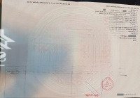 Bán Nhà Mới 1T2L 4X16.5M, Đường D2 Kdc Lê Phong An Phú 3 P.an Phú, Full Nội Thất