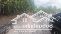 Bán Đất Đẹp Tại Tóc Tiên Sát Phường Hắc Dịch, Phú Mỹ, Bà Rịa Vũng Tàu, 1,5 Tỷ, 524M2