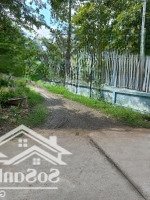 1.750Ty/232M2 Đất Ở Khu Dân Cư Trung Tâm Xã Đại Phước, Sổ Riêng