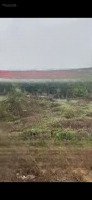 Bán Đấu Giá 833M2 Đất Tại An Phú, Mỹ Đức, Hn