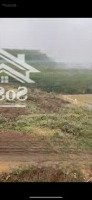 Bán Đấu Giá 833M2 Đất Tại An Phú, Mỹ Đức, Hn