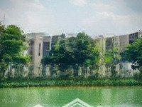 Cđt Capitaland Mở Bán Nhà Phố + Biệt Thự Tại The Orchard Sycamore Chiết Khấu 7%, Rổ Hàng Giá Tốt