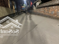 Bán Đất Tại Đường Tằng Mi, Xã Nam Hồng, Đông Anh, Hà Nội, 4,5 Tỷ, 65 M2