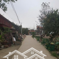 Chính Chủ Cần Bán 3 Lô Đất F0 Đất Phường An Bình, Thuận Thành, Bắc Ninh. Chỉ 2.X Tỷ/ Lô