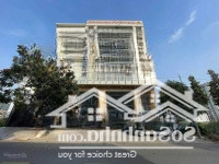 Bán Nhàmặt Tiềntrần Quang Diệu-P.14-Quận 3, Dt:12X23M-Xd Hầm+8T. Hợp Đồng Thuê: 150 Triệu/Th.giá: 65 Tỷ