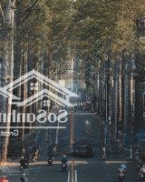 Mặt Tiền Thiên Phước, Phường 9, Tân Bình, Diện Tích: 4,2M X 24M, 3 Tầng, Giá Bán 21 Tỷ Tl