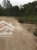 Chính Chủ Bán 81M2 Đất Kỳ Dương , Chương Dương, Thường Tín, Hà Nội