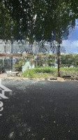 Bán Đất 120M2 Đ. Nguyễn Đắc Thắng, Gần Thcs Thị Trấn Chợ Gạo, Tiền Giang Giá Bán 500 Triệu. Shr