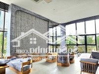 Bán Căn Hộ Studio , Chung Cư Haven Park Ecopark , Có Sổ , Không Đồ Phù Hợp Tự Thiết Kế Nội Thất