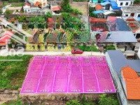 Mở Bán 6 Lô F0 Phường Hoàng Lâm Tp Thủy Nguyên Ngõ Ô Tô Đỗ Đất Giá Tốt Cho Nhà Đầu Tư