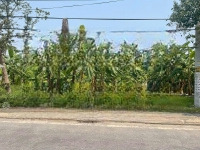 659M2 Mặt Đường Trung Nghĩa, Hợp Đức, Đồ Sơn, Giá Cho Nhà Đầu Tư. Liên Hệ: 0704820666