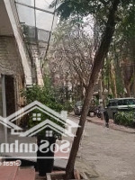 Kim Đồng - Phân Lô Ô Tô - Thang Máy - Full Nội Thất Vip - 10 Phòng - Vài Bước Ra Hồ.