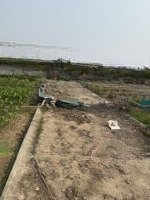Bán Đất Tại Xã Bạch Thượng, Duy Tiên, Hà Nam, 980 Triệu, 69M2 Đẹp, Nhiều Tiện Ích
