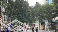 Hơn 18M Mặt Tiền, 668M2 Full Thổ Cư, Sử Dụng Riêng. Đất Mặt Phố Hai Bà Phố Bà Triệu. Liên Hệ: 0817343688