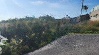 Bán Đất Nông Trường, Phước Thạnh, Gò Dầu, Tây Ninh, 650 Triệu, 123.3 M2, Giá Ưu Đãi