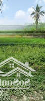 Bán Đất Giá Rẻ Kế Bên Vành Đai 3,Diện Tích1020M2 Bình Chánh