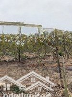 Chính Chủ Gửi Bán Lô Đất 2100M2 Tại Xã Liên Xuân Thủy Nguyên Hải Phòng
