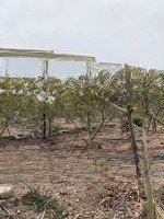 Chính Chủ Gửi Bán Lô Đất 2100M2 Tại Xã Liên Xuân Thủy Nguyên Hải Phòng