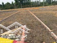 Đất Lạc Thủy Hòa Bình Siêu Rẻ Mua Là Lãi Chỉ 580 Triệu