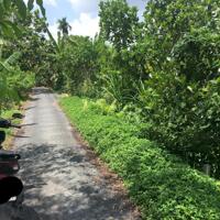 Đất full thổ cư khu du lịch Đương Đại cầu Kinh Thầy Cai, Mỹ Phước, huyện Mang Thít 290m2