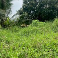 Đất full thổ cư khu du lịch Đương Đại cầu Kinh Thầy Cai, Mỹ Phước, huyện Mang Thít 290m2