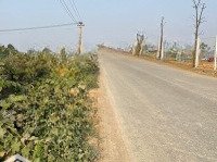 Chính Chủ Cần Bán 1000M/200M Tc Tại Gò Mè - Cư Yên Bám Trục Chính Gần Hồ Đồng Chanh Giá Rẻ