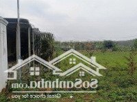 Bán Đất Khu Vực Thôn Mỹ Sơn, Xã Cự Nẫm, Bố Trạch Quảng Bình, Liên Hệ Chính Chủ