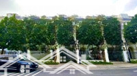 Hot! Bt Song Lập Sao Biển 9 Đường Thông Chủ Nhà Cần Bán Gấp Tại Vinhomes Oceanpark 1 Gia Lâm