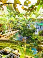 Ngay Xa Lộ Hà Nội, Ngã Tư Thủ Đức - Nhà 126M2* 3 Tầng, Mặt Tiền Đường, Trung Tâm Hiệp Phú, Q9