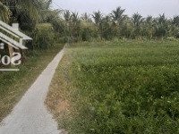 Cần Nhượng Lại 2 Sào Đât Trồng Cây Hàng Năm - Tân Hóa Nam, Cát Hanh, Phù Cát, Bình Định