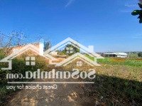 Bán Gấp Đất Chính Chủ, 600M2 Tại Trà Đa , 2 Mặt Tiền Đường 8M, Giá Chỉ 1,05 Tỷ