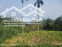 Đất F0 Chưa Qua Đầu Tư Giá Còn Đang Rất Tốt Hơn 3 Triệu Tý/1 M2