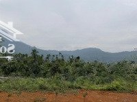 Bán Đất 2440M2 Tại Đt 87, Vân Hòa, Ba Vì, Hà Nội Chỉ Với 9,2 Tỷ Vnd