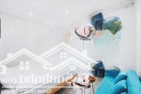 Toạ Lạc Tại Thôn 9 Xã Ba Trại Tổng Diện Tích 2964 M2 300 Tc Đã Đầy Đủ Giấy Tờ Antt Pccc