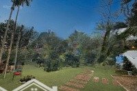 Toạ Lạc Tại Thôn 9 Xã Ba Trại Tổng Diện Tích 2964 M2 300 Tc Đã Đầy Đủ Giấy Tờ Antt Pccc